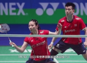 开云体育下载-包含日本羽毛球队逆转法国羽毛球队，戴资颖绝境逆转的词条