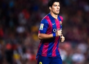 开云体育在线-鹈鹕踏平浙江队，F1年度争冠焦点战外的赛场奇迹