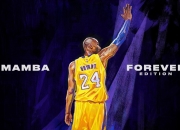 开云官方app入口-东瀛铁壁鏖战日耳曼战车，羽翼翩跹点燃赛场之魂—记一场跨越时空的体育精神交响