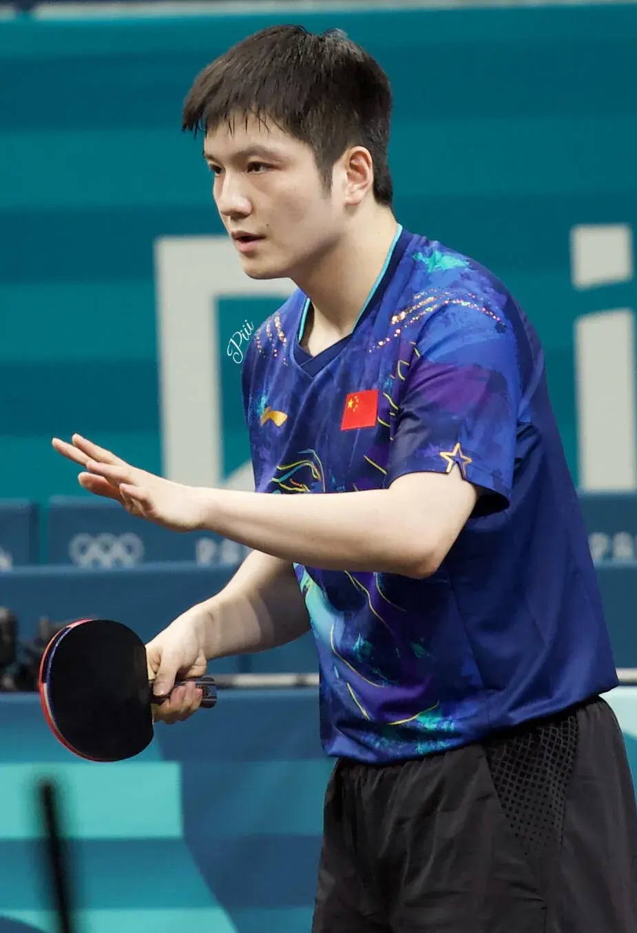 关于比利时乒乓球队逆转瑞典乒乓球队，樊振东惊艳世界的信息