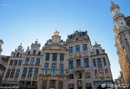 比利时欲擒捕意大利，胜利之路暗藏玄机