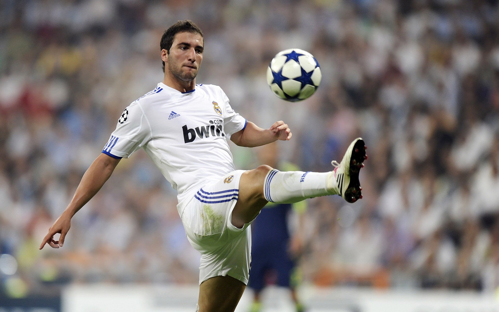 铁血灰熊横扫辽宁，张镇麟孤星扛起全队荣光